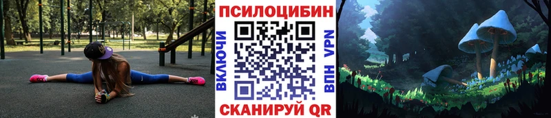 Псилоцибиновые грибы мухоморы  купить наркоту  Мостовской 